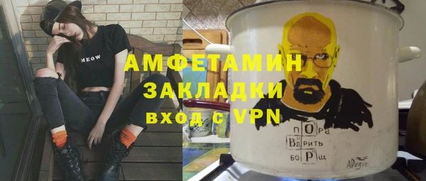 индика Каменка