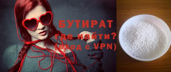 индика Каменка