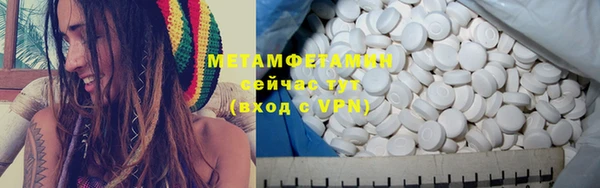 индика Каменка