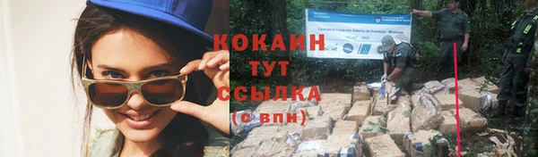 кокс Каменногорск