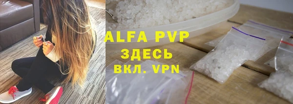 индика Каменка