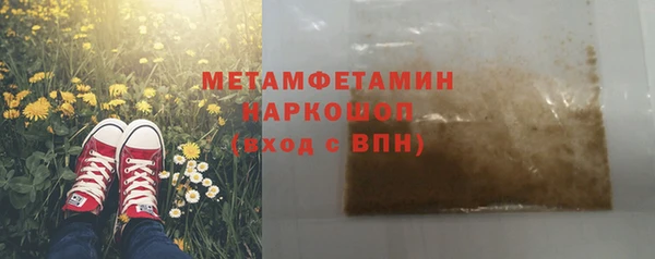 индика Каменка