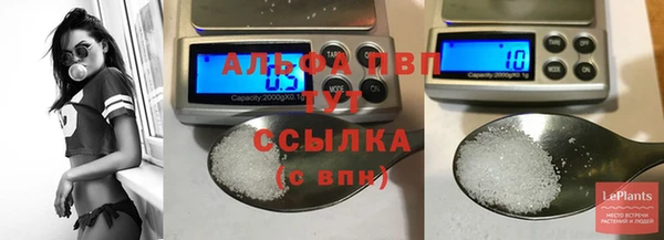 индика Каменка