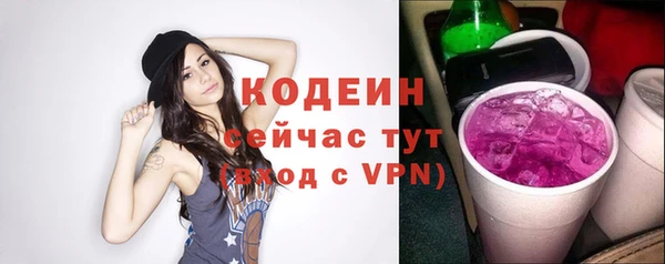 индика Каменка