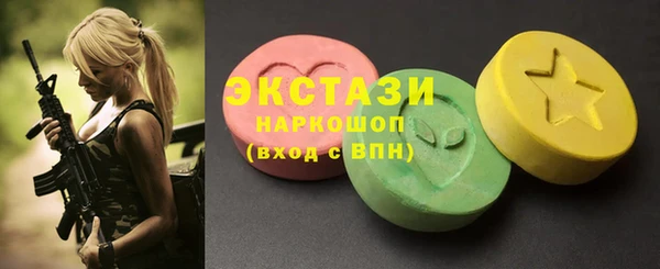 индика Каменка