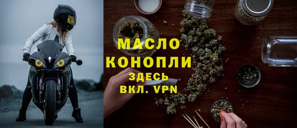индика Каменка