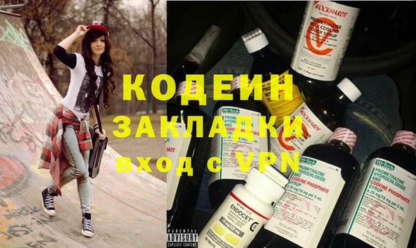 индика Каменка